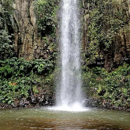 Апартаменты Casa Da Cascata *